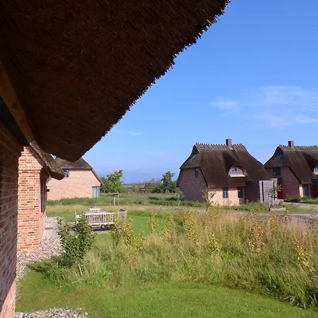 Reetdorf Geltinger Birk Malerhaus Landzunge Feriehus Nieby (Nieby, Schleswig-Flensburg)